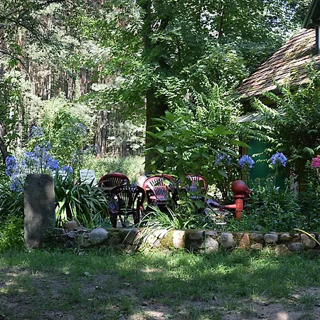 Domek Mysliwski Zatom Nowy Exterior photo